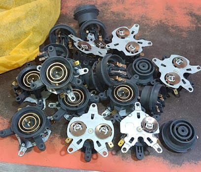 Evergreen technology business photograph