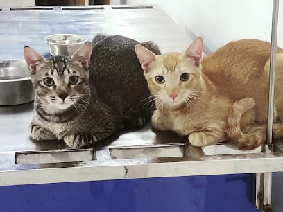 BLU CROSS VETERINARY HOSPITAL business photograph