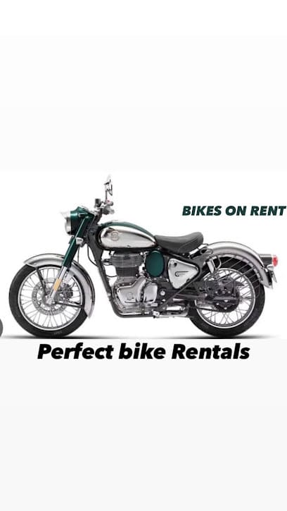 Perfect bike rental service. business photograph