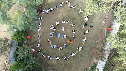 Legal251 business photograph