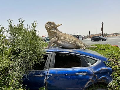 NEW BHARAT AUSHADHI BHANDAR business photograph