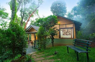 Wayanad Tour Packages business photograph