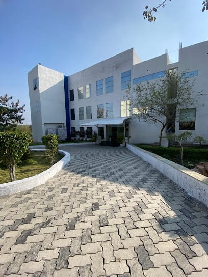 Soluzione IT Services | Software Development Company business photograph