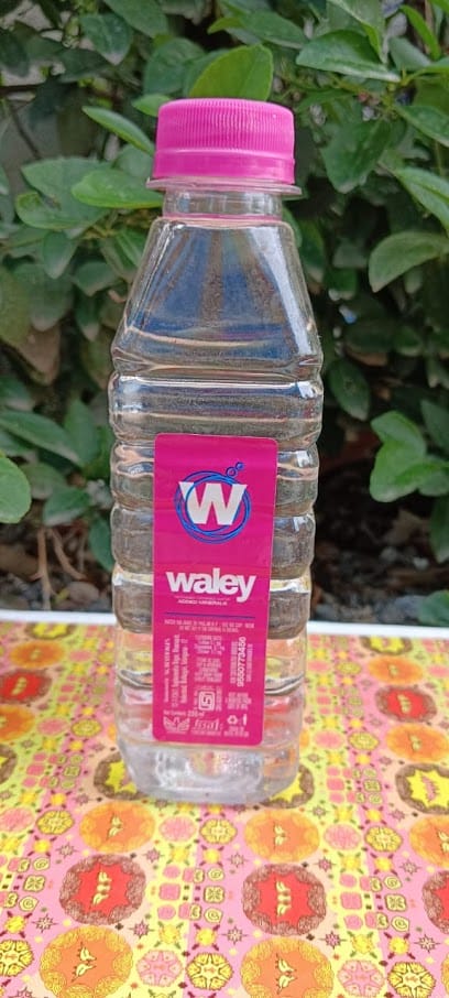 Mayan water solutions business photograph