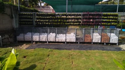 Greenery Exports business photograph