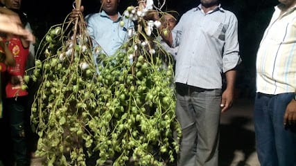 Naresh Krushi Kendra business photograph