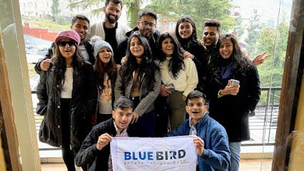 Bluebird Holidays business photograph