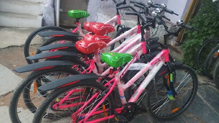 Guru Cycles Shop. Hampi. business photograph