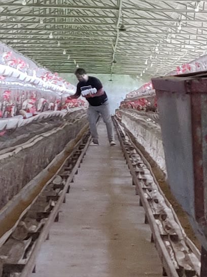 odisha poultry pvt ltd business photograph