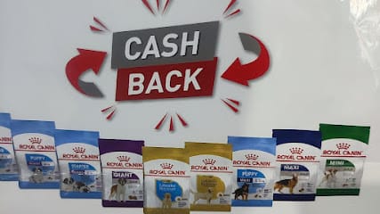 Keshav dog house & pets clinic business photograph