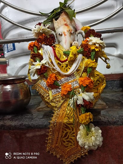 Hariyali Marriage Garden business photograph