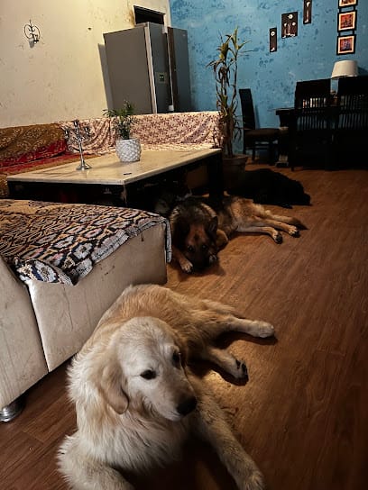 Petsnap services ( Pet Boarding ) business photograph