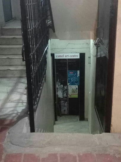 Camel Art Centre business photograph