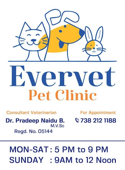 Evervet Pet Clinic business photograph