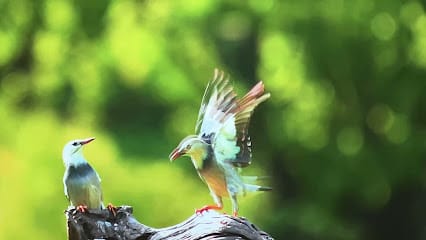 Angel Electronics Kollam business photograph