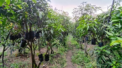 Foram farm and nursery business photograph