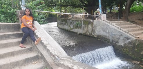Ooty Amazing grace (taxi) ,(OOTY Cab service) business photograph