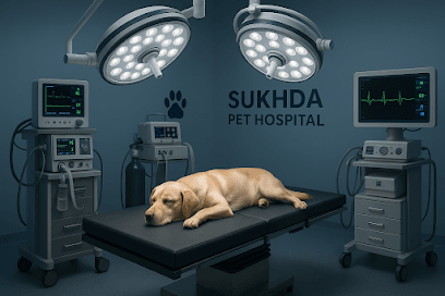 Sukhda 24×7 Multi Speciality Pet hospital | 24h open hospital | Lab | X ray | pet admit | surgery | ambulance business photograph