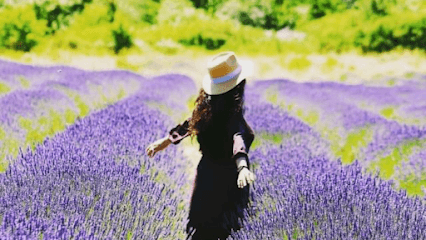 SHIVA EXPORTS INDIA business photograph