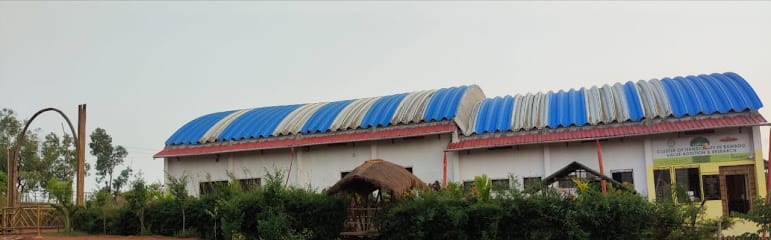 Cluster of Handicraft in Bamboo Value Addition and Research - CHIVAR business photograph