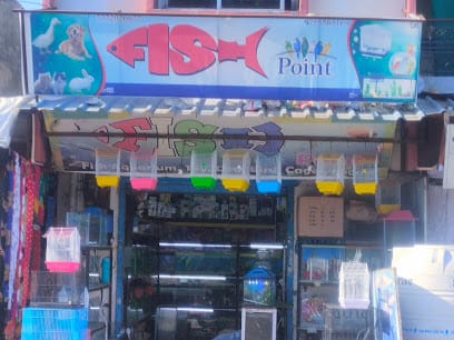 Fish Point & pet shop business photograph