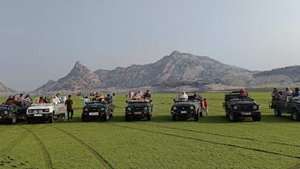 Jawai safari bookings business photograph