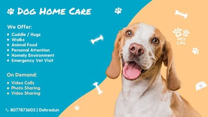 Dog Home Care business photograph