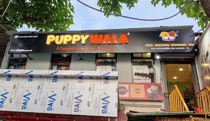 PUPPYWALA business photograph
