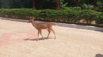 Pilikula Biological Park business photograph