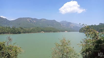 Taxi Munnar business photograph