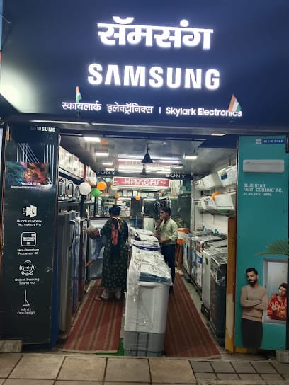 Skylark Electronics business photograph