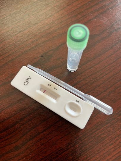 BRIGHT EYES PET CLINIC business photograph