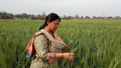 Ehsaas Organic business photograph