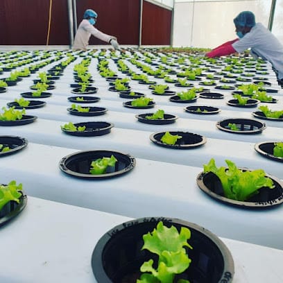 Onlyhydroponics business photograph