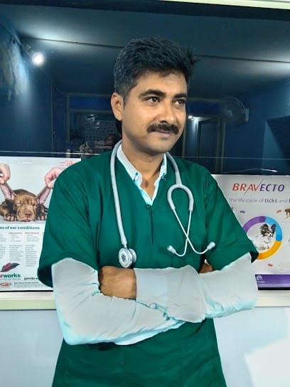 Little paws pet clinic business photograph