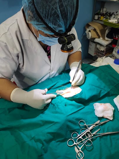 Furry Tails Pet Clinic business photograph