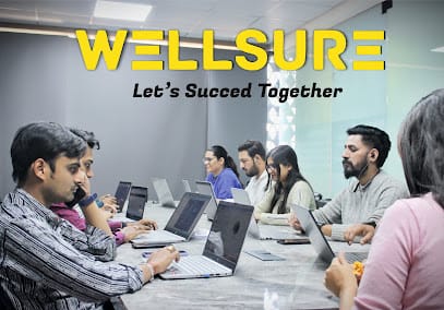 WELLSURE E-COMM SERVICES PVT. LTD. business photograph