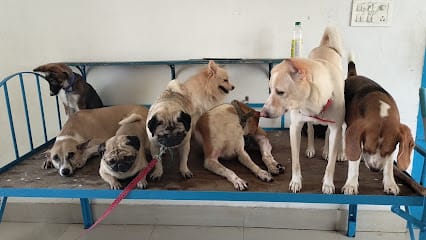 Jennelie's Pet Kennel business photograph