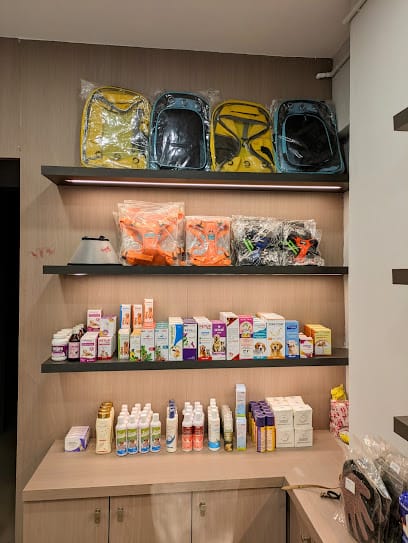 The Paws Valley business photograph