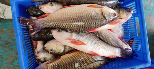 Farm to home business photograph