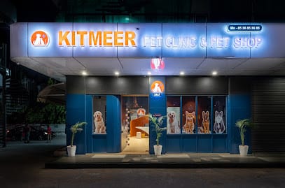 Kitmeer Pet Clinic & Diagnostic Centre Best pet clinic in baroda business photograph