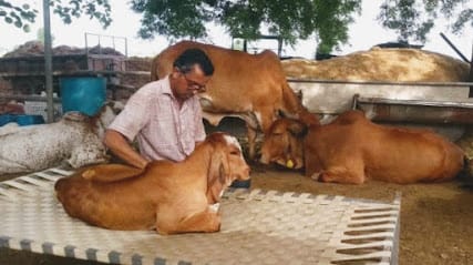 Vrundavan organic farm business photograph