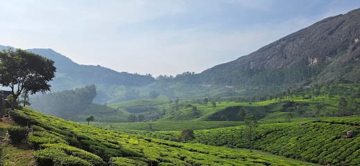 BADRIKRISHNA TOUR'S AND TRAVELS business photograph