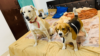 pet companion boarding business photograph