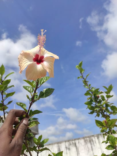 Biosephia Group business photograph