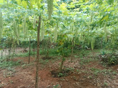 Premier Agro Supplies business photograph