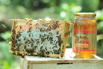 Bharath Bee Keeping Centre - bharath honey business photograph