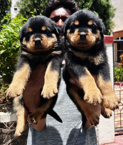 PET VILLA PREMIUM CARE (Pet Shop) business photograph