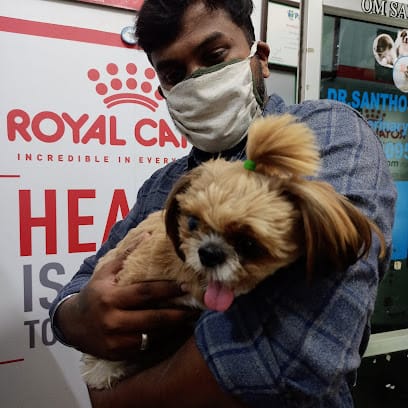 Sai Pet Clinic & Shoppe business photograph