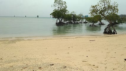 Halder Tour & Travels business photograph